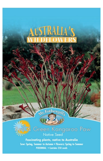 Kangaroo Paw Red And Green WILDFLOWER