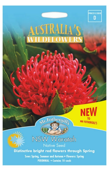 NSW Waratah WILDFLOWER