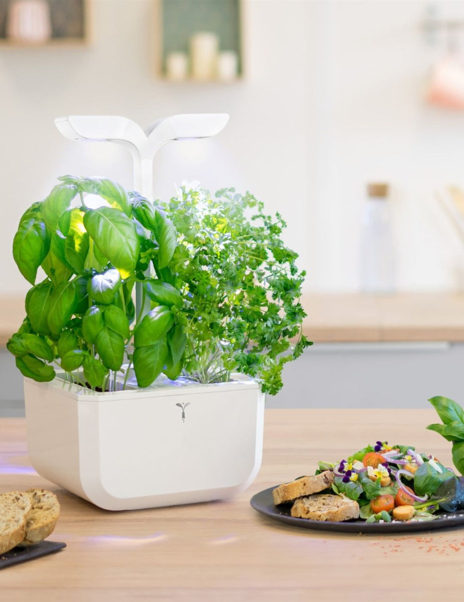 Véritable® EXKY Indoor Garden - CLASSIC