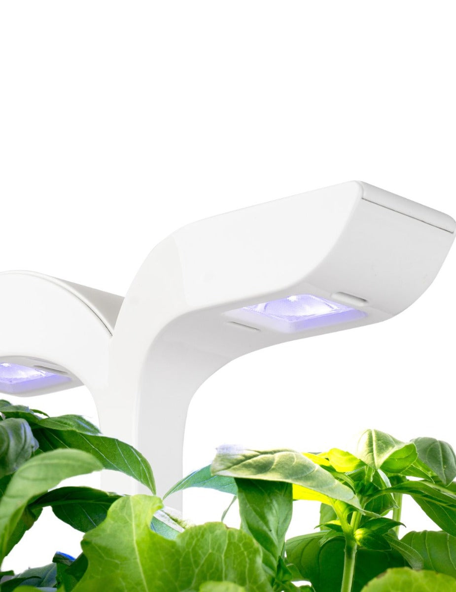 Véritable® EXKY Indoor Garden - CLASSIC