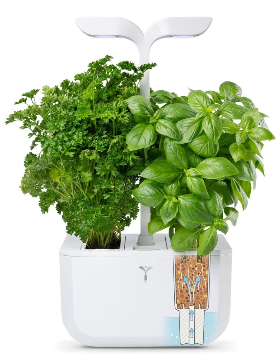 Véritable® EXKY Indoor Garden - CLASSIC