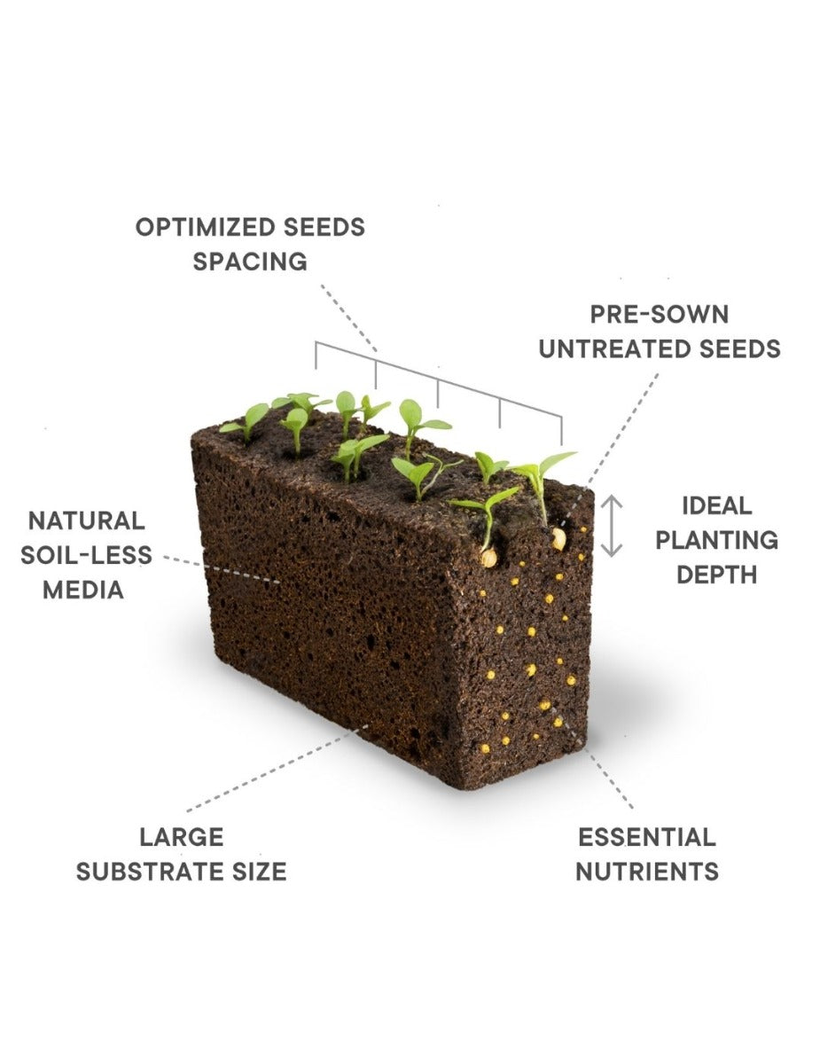 Véritable® Indoor Garden - SMART