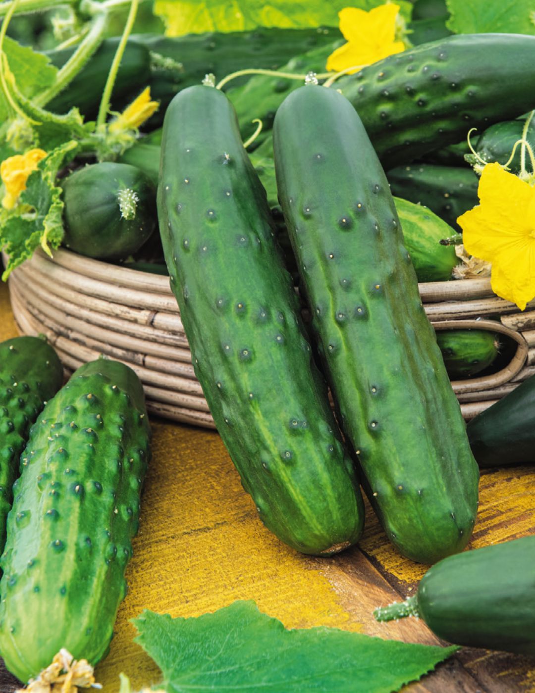 Marketmore Cucumber Seeds