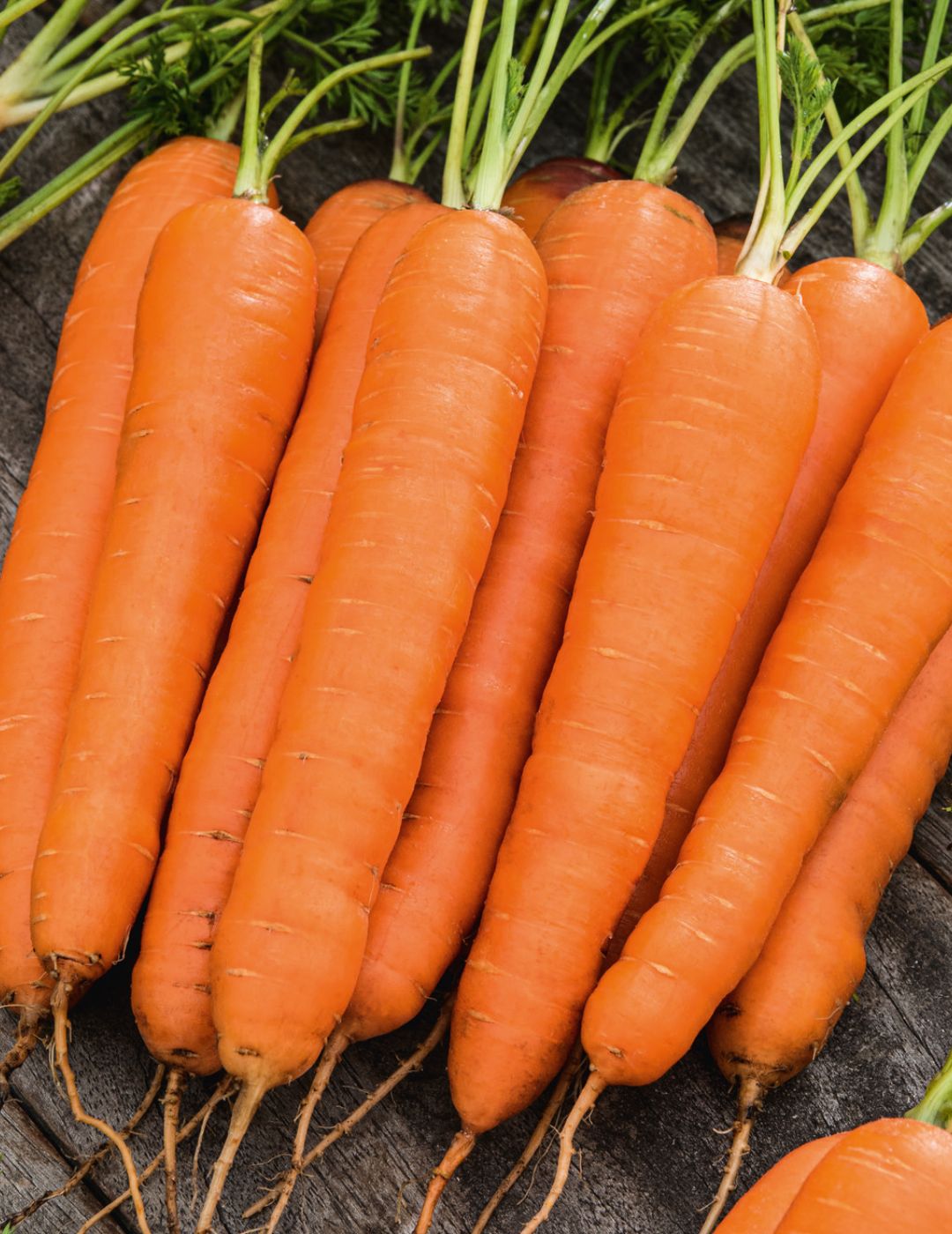 Carrot Manchester Table