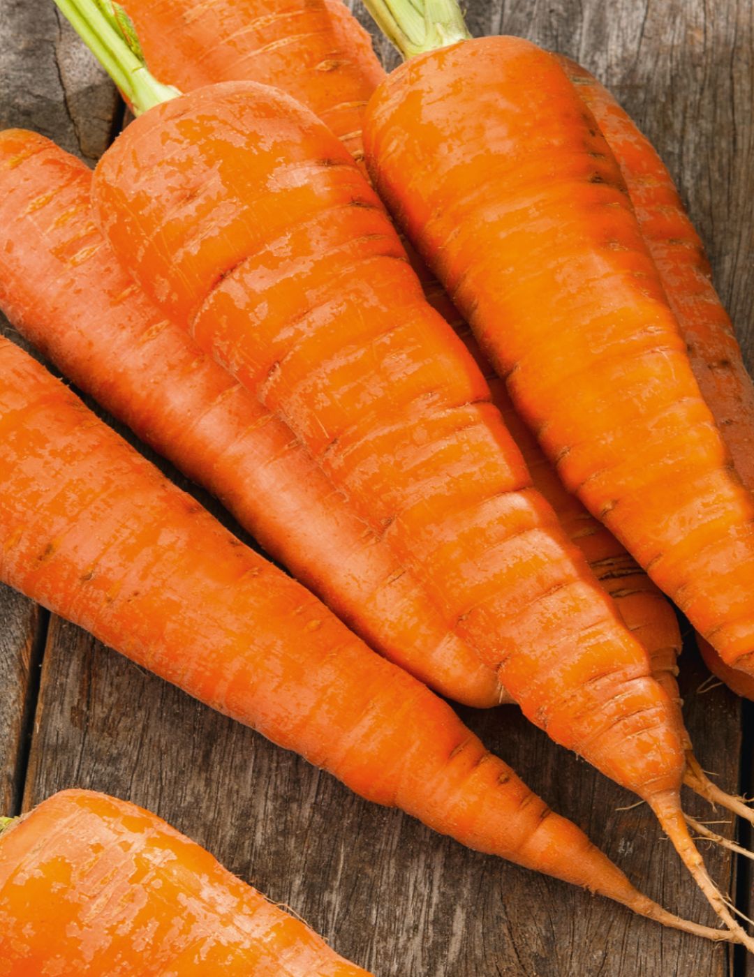 Carrot Topweight Improved