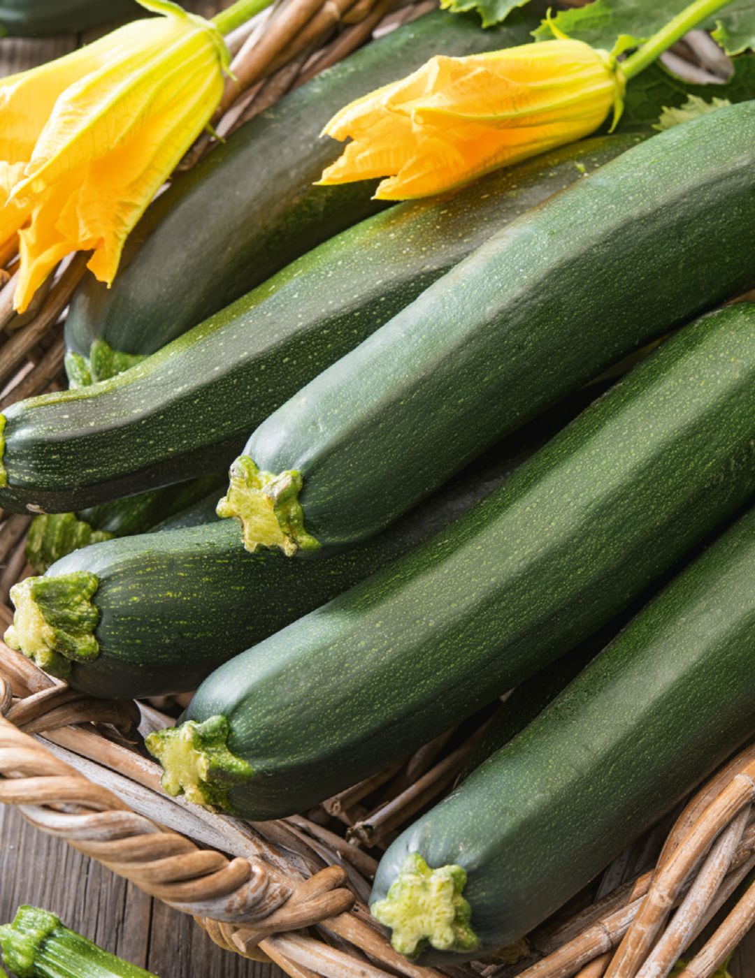 Zucchini Black Beauty ORGANIC