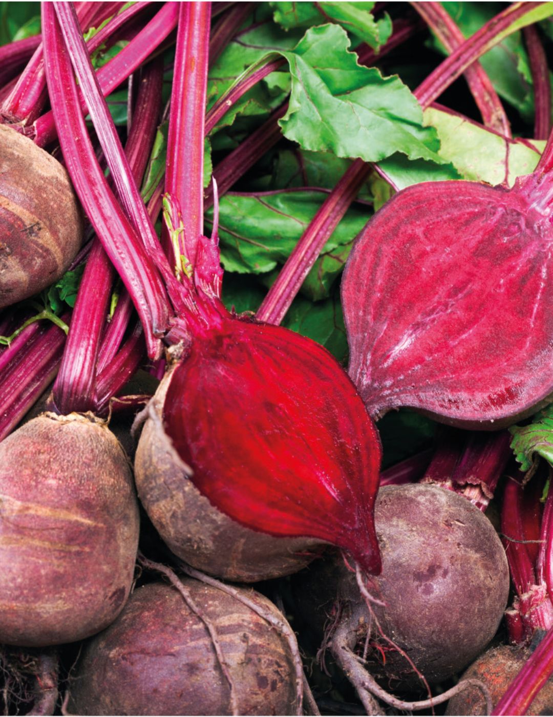 Beetroot Detroit 2 ORGANIC