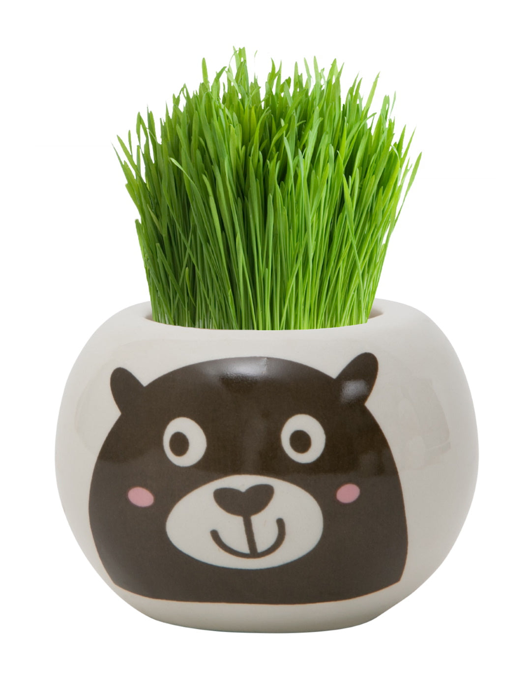 Grass Hair Kit - Wild Adventure (Bear)