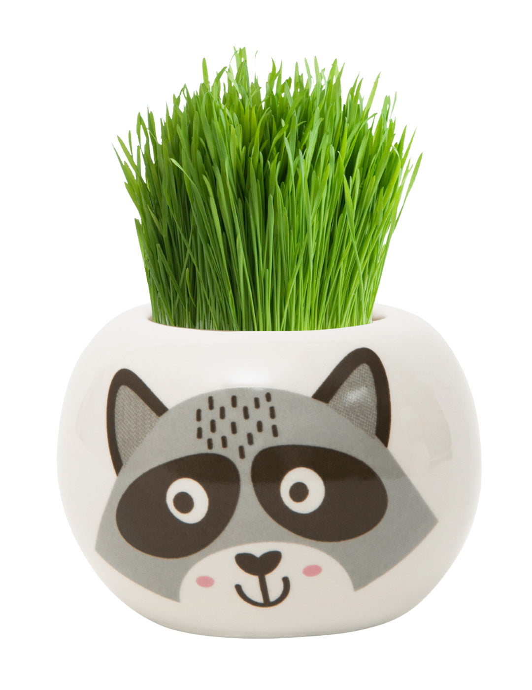Grass Hair Kit - Wild Adventure (Raccoon)