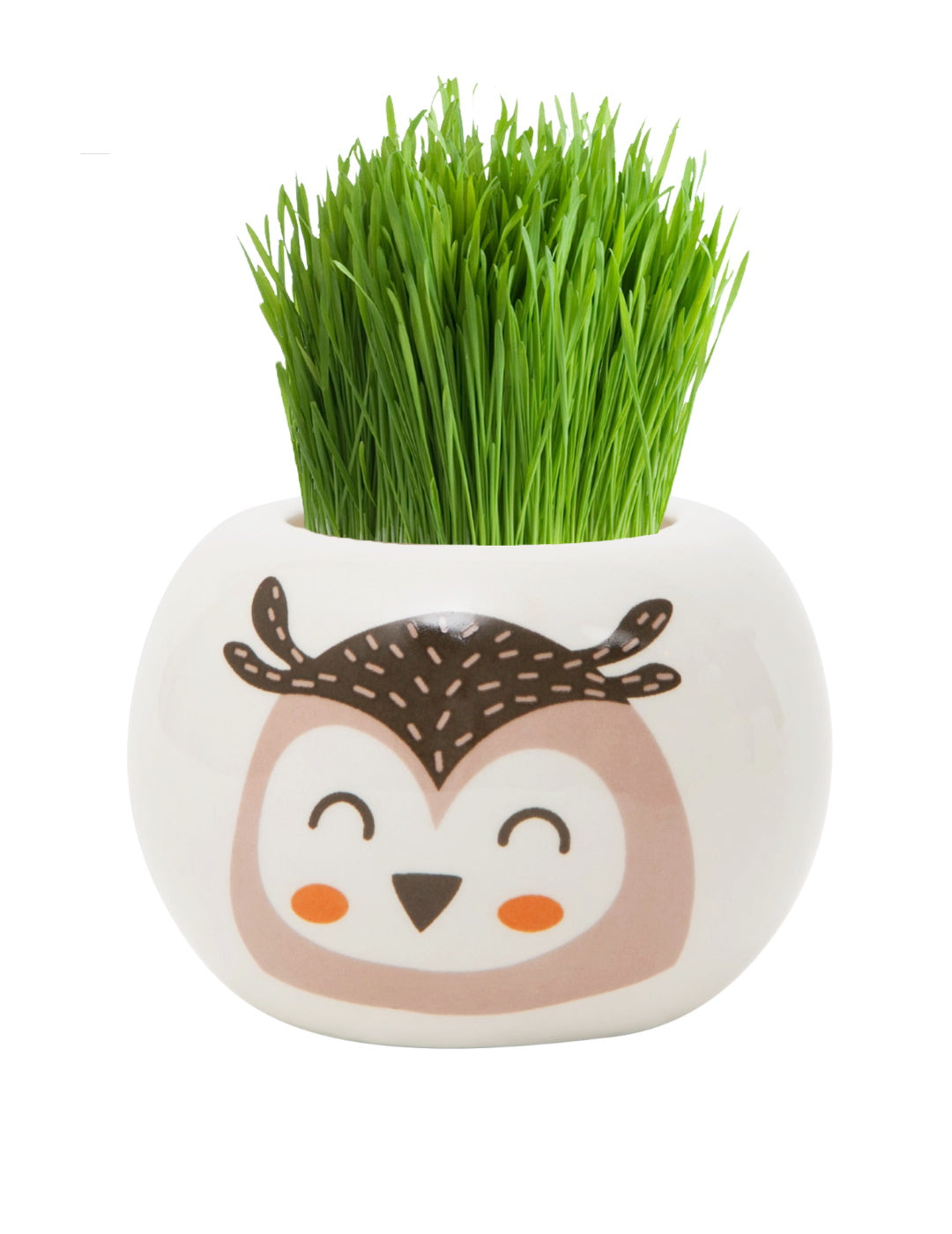 Grass Hair Kit - Wild Adventure (Owl)