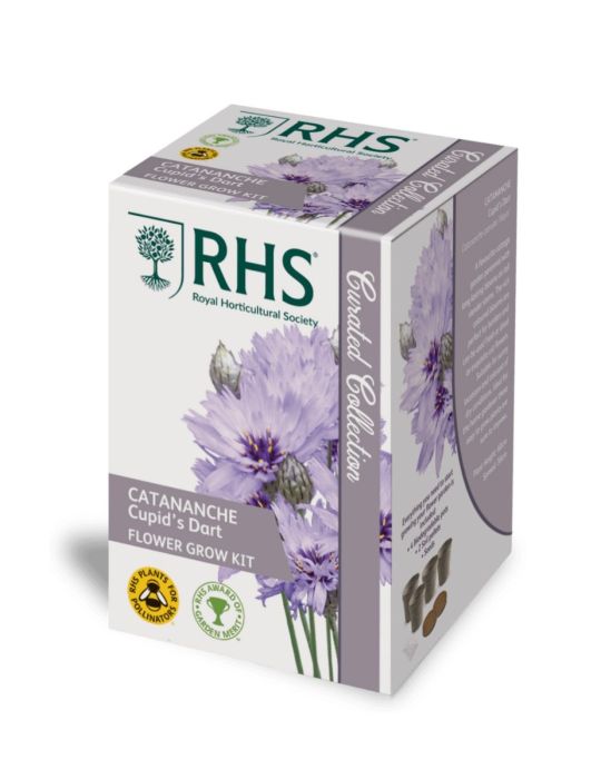 82％以上節約 Seeds <br>Royal Horticultural Society  <br>Catananche CUPID'S DART <br>RHS カタナンケ <br>キューピッド ダーツ <br>ミスター  フォザーギルズシード