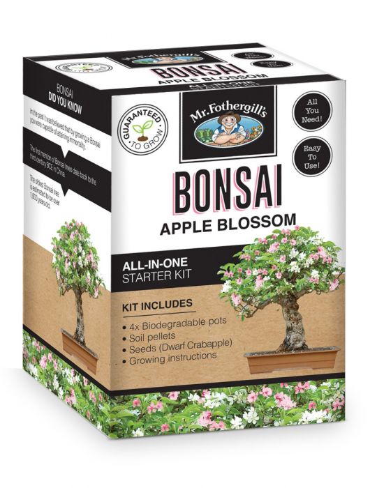 Appleblossom Bonsai Kit